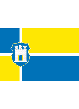 Флаг Житомира