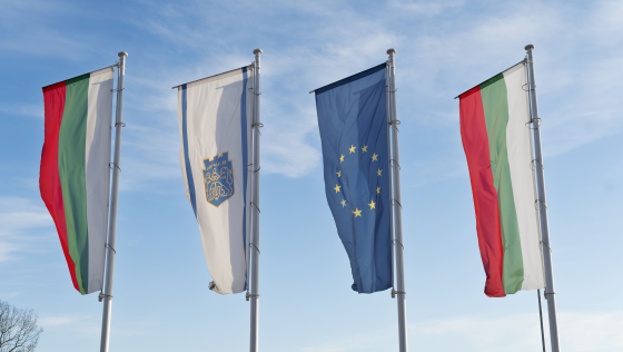 Флагштоки в Украине